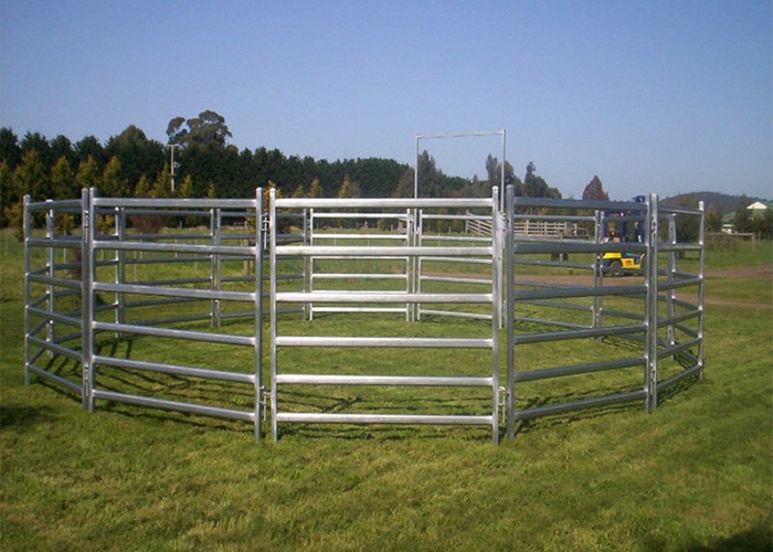 1.8m×2.1m Frame Frame 120g/M2 Coating Heavy Duty Cattle Panel