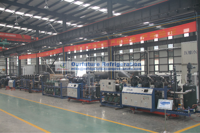 High Efficiency HSN Refrigeration Compressor Unit For -35degC-40degC