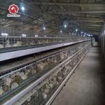 Q235 Battery Cages Laying Hens Chicken Farming Materials A Type