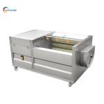 500kg Washing And Peeling Machine For Asparagus And Ginger Potato Carrot