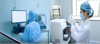 HPV Human Papillomavirus Detection Kit Multiplex Real-time PCR Instructions In Vitro Diagnostic Re