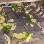 OEM Potatoes Orange Fruit Drying Machine Leafy Vegetables Vibrating Air Dryer