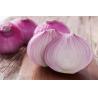 Buy cheap 25KG 90mm natural fresh onion from wholesalers