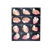 Buy cheap High Sharpness Wearable Konida Medical Imaging Xray Paper For Laser Printer from wholesalers