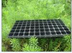 50 cells Plastic blister thermoforming vacuum PVC flower tree seedlings