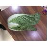 Buy cheap Light Sweet Fresh Chinese Cabbage No Irregular Shape No Mouldy from wholesalers