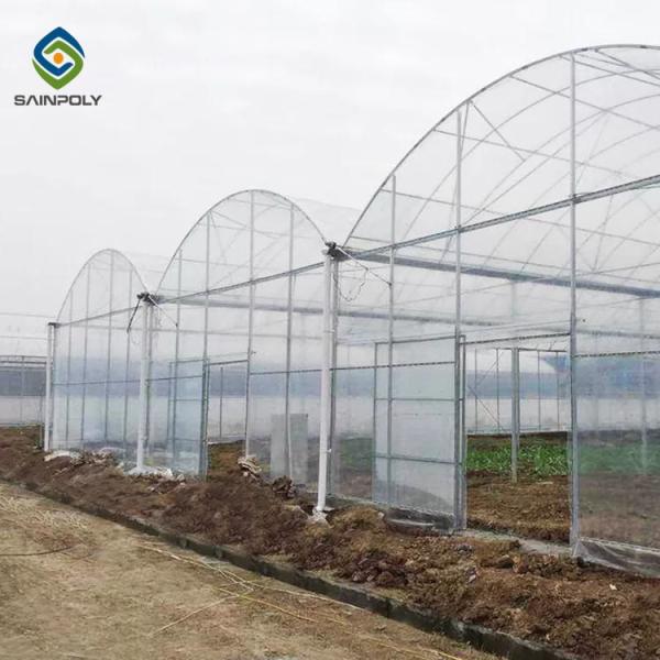 Multi Span Arch Plastic Film Greenhouse Tomato Strawberry Greenhouse Turnkey