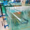 Buy cheap 12mm Tempered Glass Panels Fireproof Toughened Safety Glass Customization from wholesalers