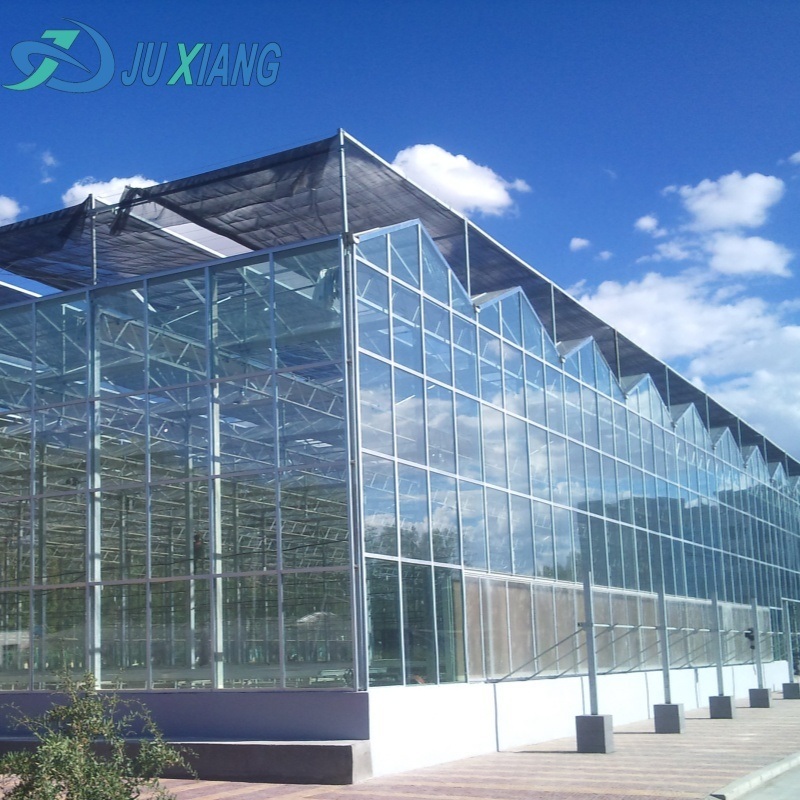 Glass Greenhouse Hydroponics System for Vegetables