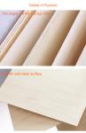 Factory Plywood Floor Sheet 2.5mm 3mm 4mm 6mm 7mm 9mm 20mm Wardrobe Plywood