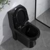 Buy cheap Black One Piece Elongated Toilets 1.6 Gpf Siphon Jet Toilet Flushing Systems from wholesalers