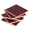 Buy cheap Commercial Birch Plywood 4x8 Formwork Plywood 18mm Water Resistant from wholesalers