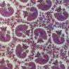 Buy cheap 95gsm Printed Polyester Spandex Satin Fabric , 50d Polyester Chiffon Fabric from wholesalers