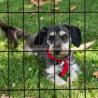 Buy cheap Galvanized 4ft 5ft 6ft 8ft Height Grassland Guard Agricultural Field Fence for Pasture from wholesalers