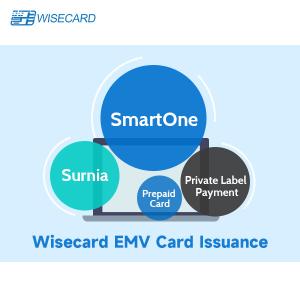China Enhanced EMV Personalization Solution for Secure Payment Card Customization on sale