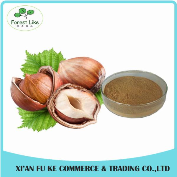 Buy cheap Anti-oxident Product Hazelnut Extract Powder 5:1 - 20:1 from wholesalers