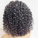 Wholesale 13X6 13X4 HD Brazilian Curl Transparent Lace Human Front Hair Wig