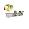 Buy cheap 1000 KG Fruit And Vegetable Cleaner Machine , Garlic Lettuce Herb Washing Machine from wholesalers