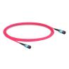 Buy cheap 12 Fibers Female to Female MPO Trunk Cable Multimode OM4 50/125 2m (7ft) from wholesalers