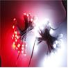 Buy cheap Miracle Bean SMD Red Green Blue Yellow Warm White Single Color Waterproof IP67 9mm 12v Led Pixel Light from wholesalers