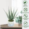 Buy cheap Indoor Small Bonsai Artificial Potted Plant Plants Office Home Decoration from wholesalers