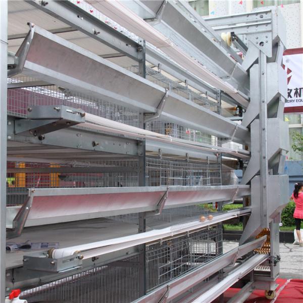 Buy cheap H Frame 256 Birds Battery Cage System In Poultry Farm Automatic Cleaning from wholesalers