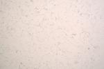 Kitchen Calacatta Engineered Countertop Stone 3200*1600*20MM Size