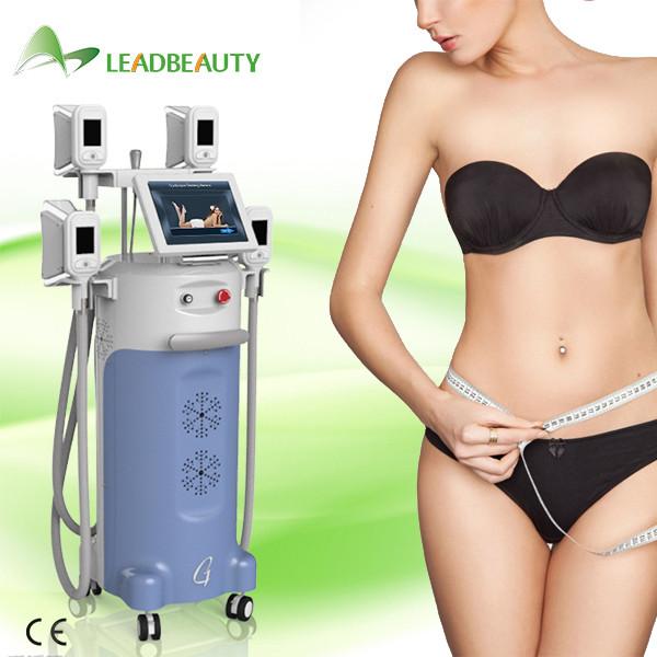 Buy cheap Hot Selling Fat Freezing body shaping Cryolipolysis slimming machine from wholesalers