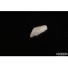 Buy cheap Thin Shell Micro Veneer Cosmetic Dental Treatment Micro Thin Teeth Veneers from wholesalers