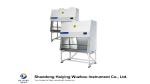 HEPA Digital Class II Type B2 Biosafety Cabinet UV Lamp