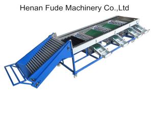 China Garlic grading machine,garlic sorting machine,garlic clean and sorting machine on sale