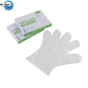 Food Grade Compostable Gloves Medium Thickness PE Material Biodegradable