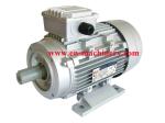 Universal Motor / Flour Mill Motor / Blender Motor / Food Processor Motor