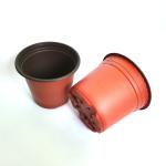 competitive price high-quality hydroponic fresh flower pot pp double color