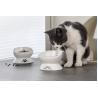 Buy cheap Cat Dog Raised Ceramic Pet Bowl Anti Tipping Elevated Black Color from wholesalers