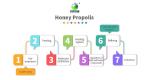 Honey Propolis Purification Wiped Film Evaporator Short Path Vacuum Distillation