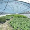 Buy cheap Large Innovative Agriculture Arches Tunnel Greenhouse Perfect for Year-Round Growing from wholesalers