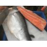 Buy cheap 18M/S Skin Remover Fish Processing Machine Squid Salmon Skin Peeling Machine from wholesalers