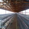 Buy cheap Galvanized Broody Chicken Cage , 3 Or 4 Floors Chicken Raising Equipment from wholesalers