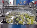 Fruit and Vegetable Washer Cleaning Machine for Fresh Cut Iceberg Lettuce