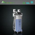 Perfect effect slimming machine cryolipolysis fat freezing equipment