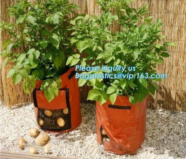 Buy cheap 100 /200/300 gallon tan tree grow bag 100gallon grow bag for plant trees,vegetables grow bags planting bags growing bags from wholesalers