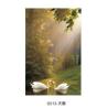 Buy cheap White Infrared Carbon Pictures Printing Heating Panels heat dissipation gift from china from wholesalers