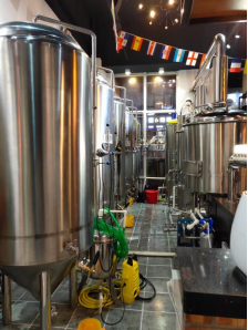 Adjustable 100L Home Beer Fermentation Tank with Polyurethane 50mm Insulation Material