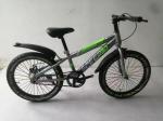 6-8 Years Youth Mountain Bike Single Speed With Disc Brake