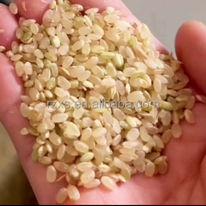 XCT1000 1 Ton Per Hour Small Combined Germ Rice Milling Machine for Medium Retailers