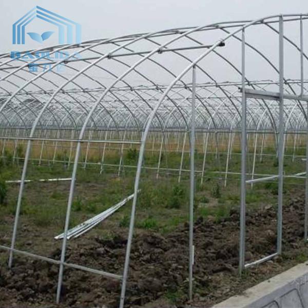 Buy cheap Plastic Film Tunnel Single Span Greenhouse Heat Preservation For Winter Tomato from wholesalers