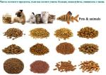 Durable Food Grade Stainless Steel Fish Feed Pellet Making Machine for Small Pet
