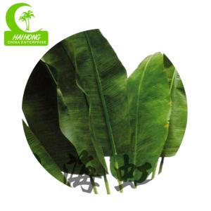 Buy cheap Beautiful 280cm Artificial Traveller's Palm Large Size Plant Garden Landscaping And Indoor Decor from wholesalers