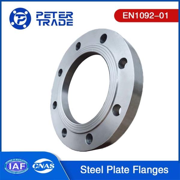 Buy cheap European Standard EN1092-01 Carbon Steel/Stainless Steel Plate Flange PN16 PLFF PLRF Flat Face/Raised Face from wholesalers